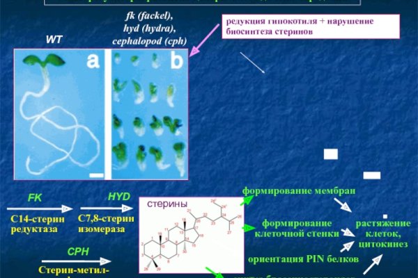 Ссылки на даркнет сайты