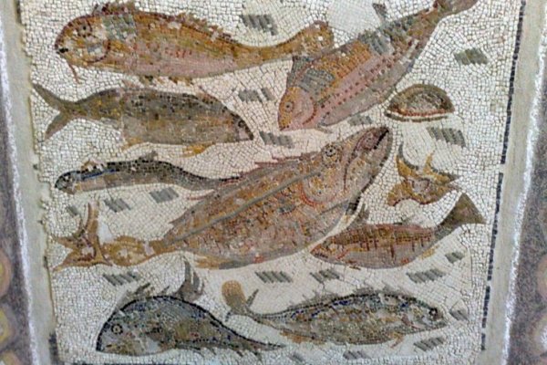 Кракен вход krakens13 at