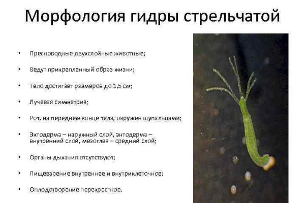 Кракен 15 ссылка