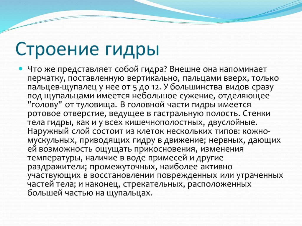 Кракен маркетплейс товары